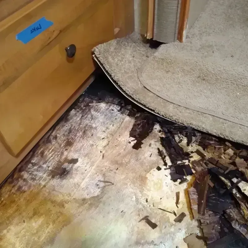 Wood Floor Water Damage in Wheeler County, OR